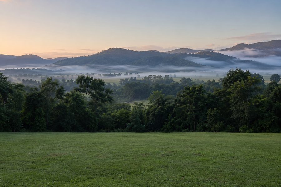 Vale com mata preservada e neblina ao amanhecer, entorno do Reserva Vale Europeu
